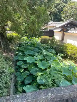 雲龍山 本證寺(愛知県)