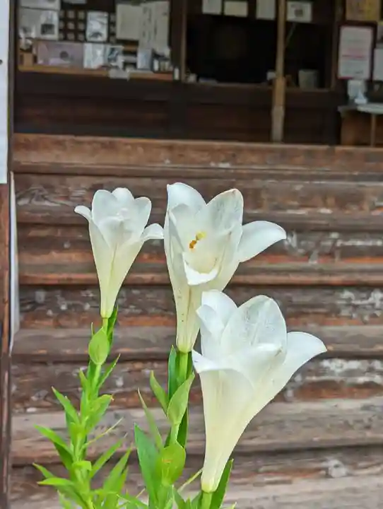 行願寺(革堂)(京都府)
