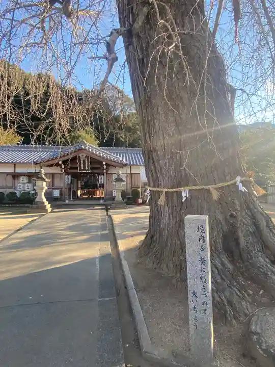 丹生酒殿神社の自然