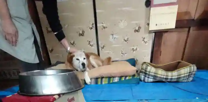 玉泉寺(東京都)