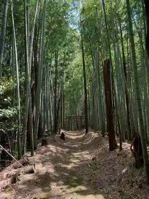 稲倉神社(千葉県)