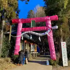 下野 星宮神社の鳥居