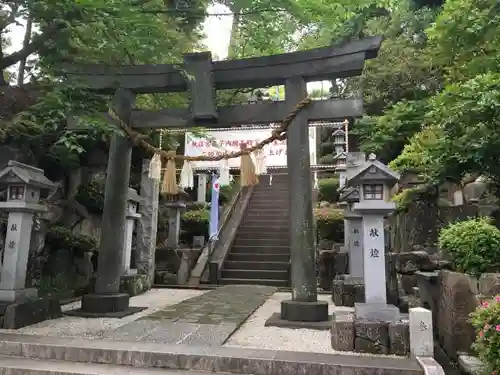 師岡熊野神社の鳥居