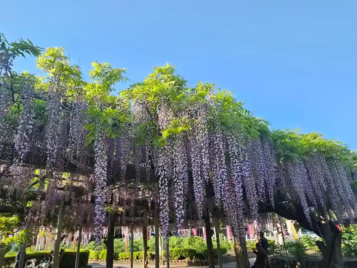 箭弓稲荷神社(埼玉県)