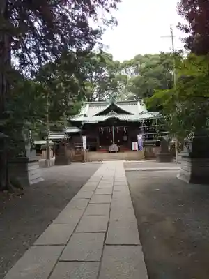 代々木八幡宮の本殿・本堂