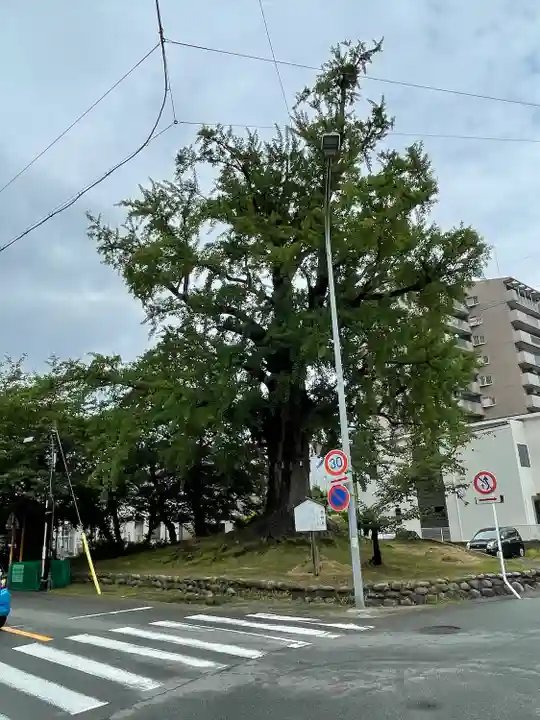 津島神社の自然