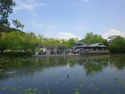 鶴岡八幡宮の庭園