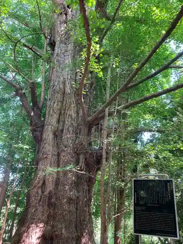 王子神社(東京都)