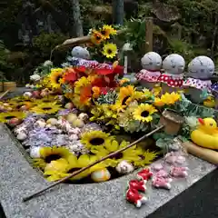 陽林寺の手水