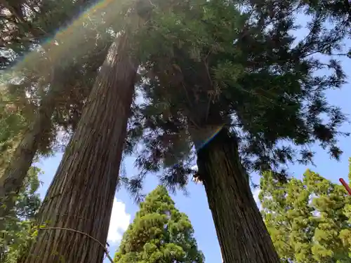渋川八幡宮のその他建物