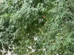 加佐美神社(岐阜県)