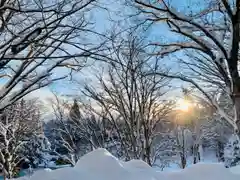 土津神社｜こどもと出世の神さまの景色