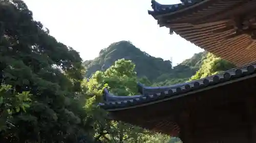 日本寺(千葉県)