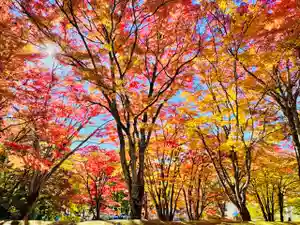 土津神社|こどもと出世の神さま(福島県)(2025年11月07日(金) 18時12分05秒投稿)