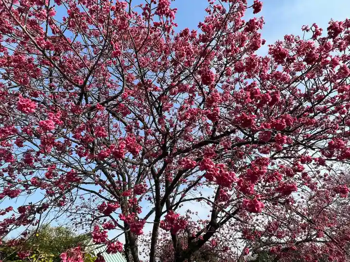 密藏院(埼玉県)