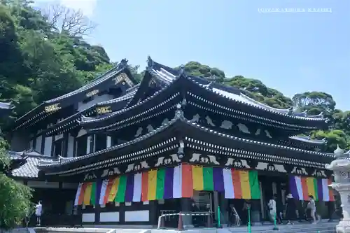 長谷寺の本殿・本堂