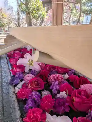 鳩森八幡神社(東京都)