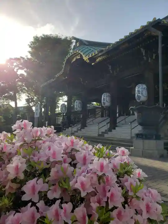 妙法寺(東京都)