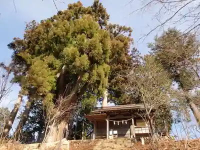 産安社(武蔵御嶽神社摂社)のその他建物