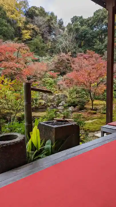 実相院門跡(京都府)