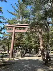 出雲大社(島根県)