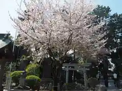 亀ケ池八幡宮の建物その他