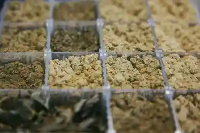 壽徳寺 じゅとくじ(福島県)