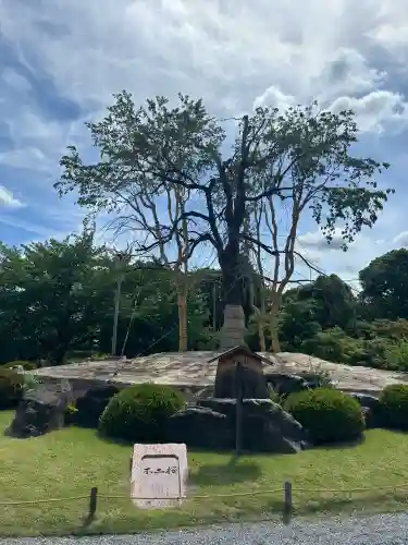 東寺（教王護国寺）(京都府)