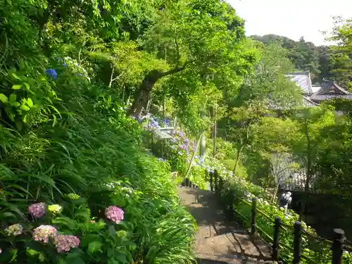 長谷寺のその他建物