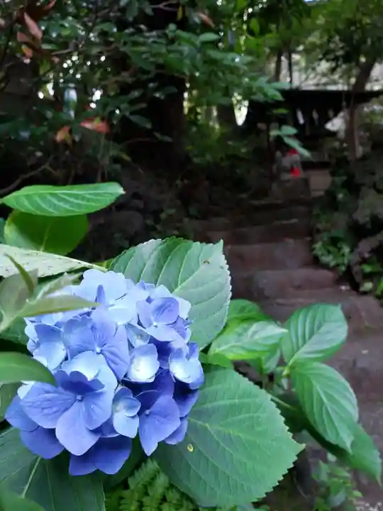 赤坂氷川神社(東京都)