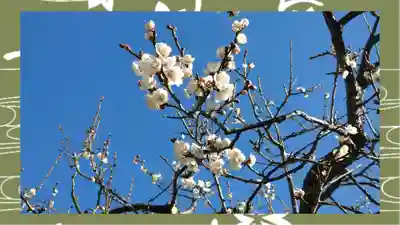 湯島天満宮(東京都)