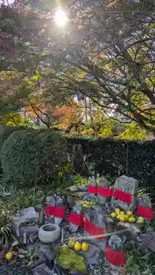 三鈷寺(京都府)