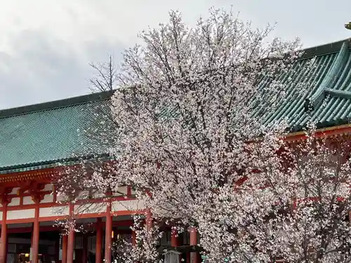 平安神宮(京都府)