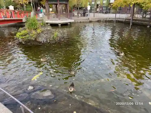 川崎大師（平間寺）の庭園