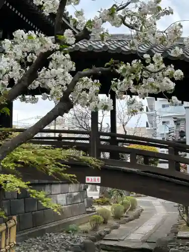 弘福寺(東京都)