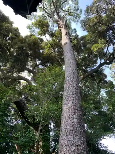 水晶六所神社の自然