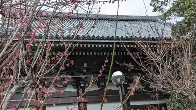  智積院(京都府)