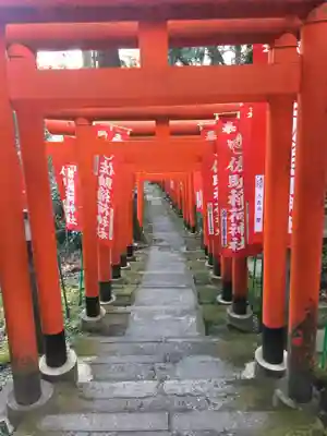 佐助稲荷神社の鳥居