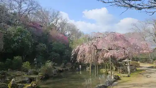 竹林院の庭園
