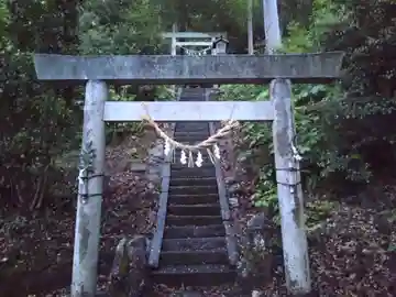 南宮神社(岐阜県)