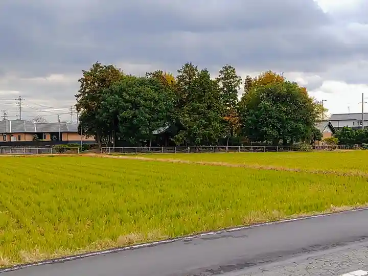 神明社(大屋敷)の自然
