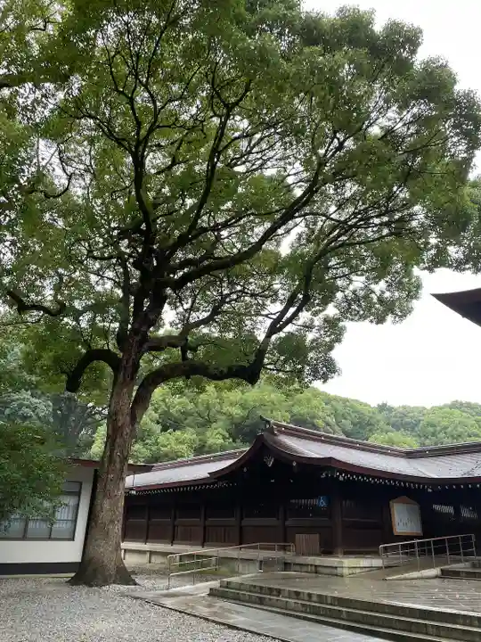 明治神宮(東京都)