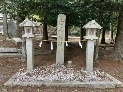 大嶋神社奥津嶋神社(滋賀県)