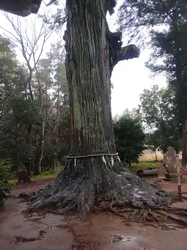 松山神社(千葉県)