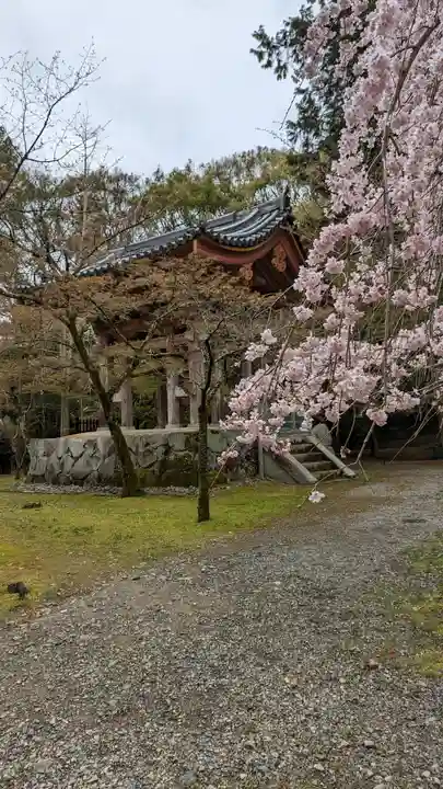醍醐寺(京都府)