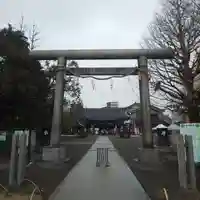 浅草神社の鳥居