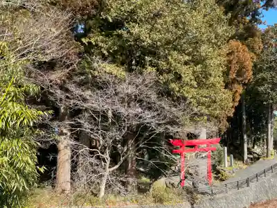 須山浅間神社の鳥居