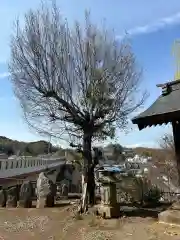 山王神社(神奈川県)