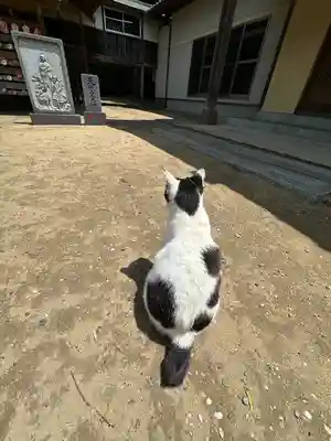 鎌数伊勢大神宮(千葉県)