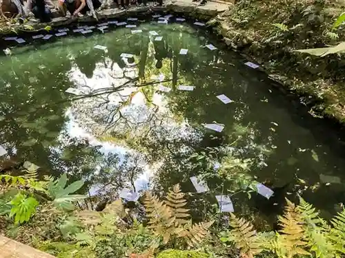 八重垣神社の庭園